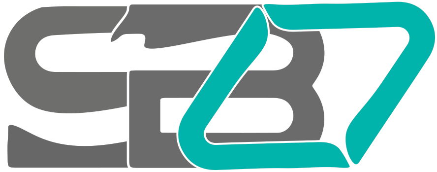 logo sbv7